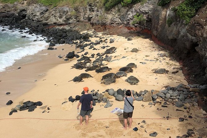 Road to Hana Adventure Tour - Best Tour on Maui - Tour Details