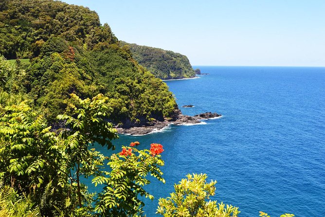 Road to Hana Luxury Limo-Van Tour With Helicopter Flight - Additional Details