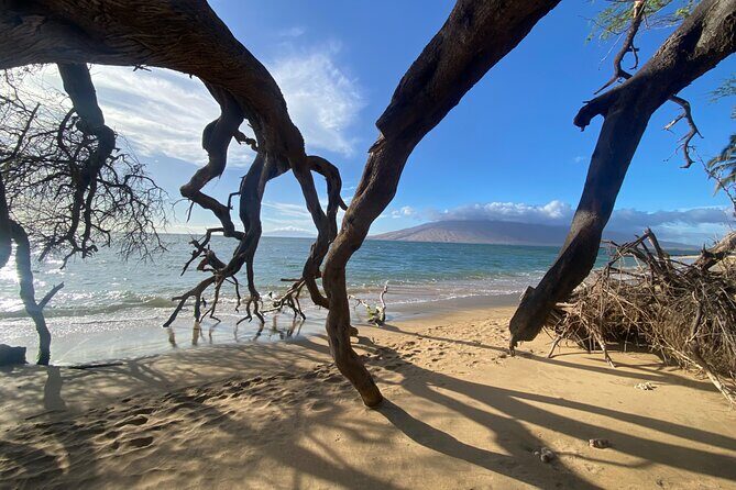 Road to Hana Maui Tours - Why This Tour Works Well for Certain Travelers
