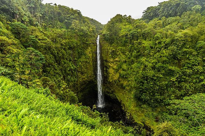 Road To Hana: Maui Waterfall Hiking Tour in Private Jeep - Inclusions and Logistics