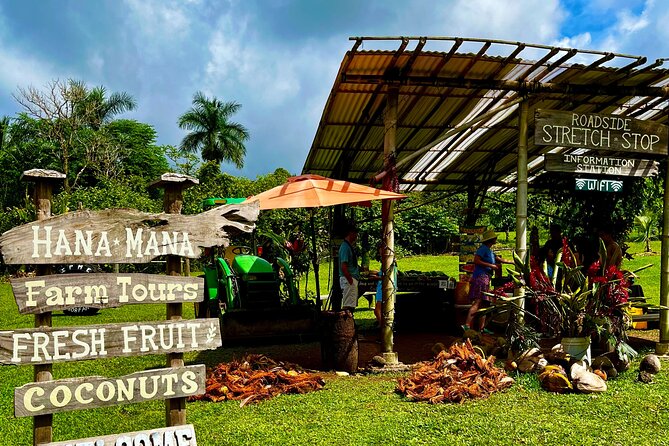 Road to Hana Private Tour: Adventure on Maui in Convertible SUV - Exceptional Guest Reviews
