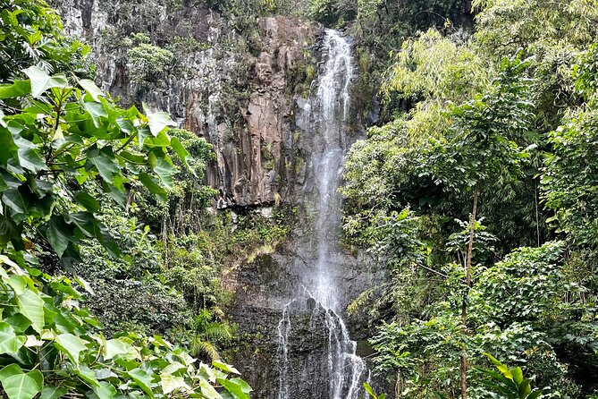 Road to Hana Private Tour: Adventure on Maui in Convertible SUV - Tour Logistics and Accessibility