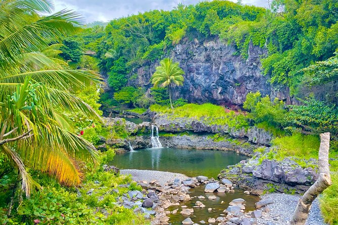 Road to Hana Private Tour: Adventure on Maui in Convertible SUV - Exceptional Guest Reviews