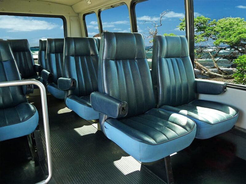 Road to Hana: Professional Guide, Food, Swimming, Waterfalls - Glowing Customer Testimonials