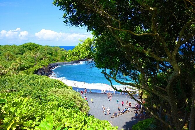 Road to Hana Rainforest, Black Sand Beach, Waterfalls & Lunch - Rainforest Exploration