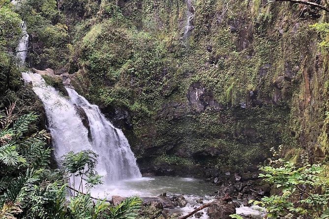 Road to Hana Tour - Best of Maui - Inclusions and Highlights