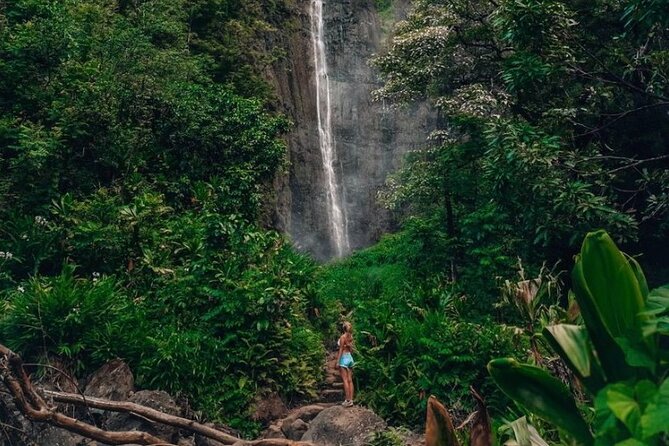 Road to Hana Tour - Best of Maui - Transportation and Photography