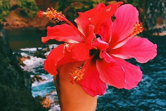 Road to Hana Tour With GO PRO 10 Videography - Traveler Experiences