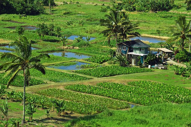 Road to Hana Tour With Lunch and Pickup - Delicious Meals