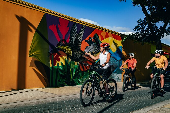 Road to San Nicolas Culture Heritage by Electric Bike Aruba - About Your Stay