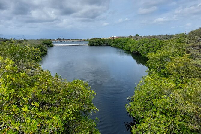 Road to San Nicolas Culture Heritage by Electric Bike Aruba - Inclusions and Meeting Points