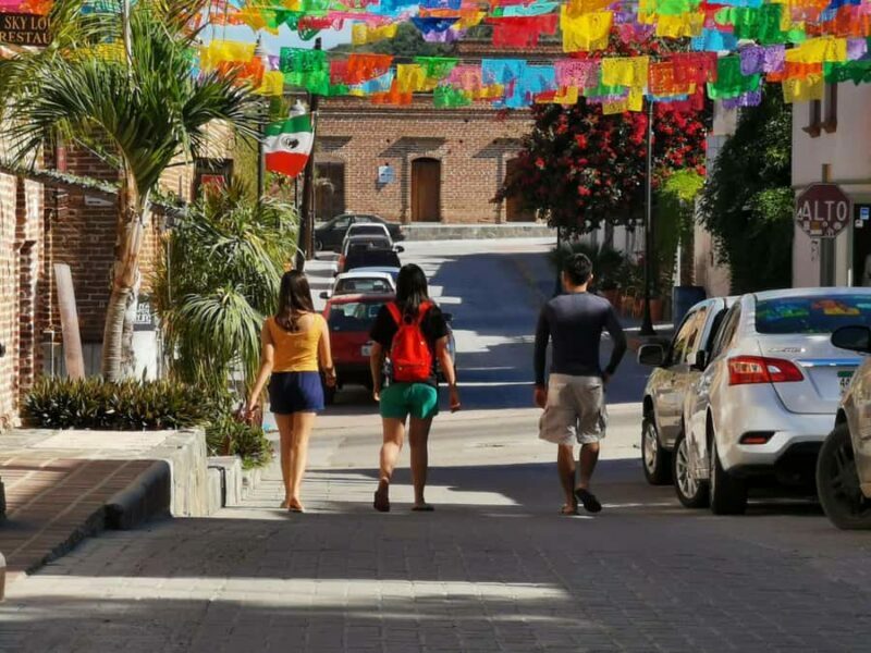Road trip from La Paz to Todos Santos and Los Cabos. - Final Thoughts: Who Will Love This Tour?