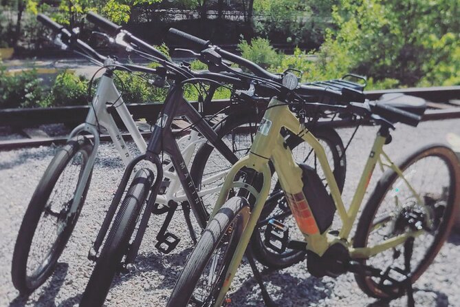 Roanoke River Greenway E-bike Rental - Pricing and Booking