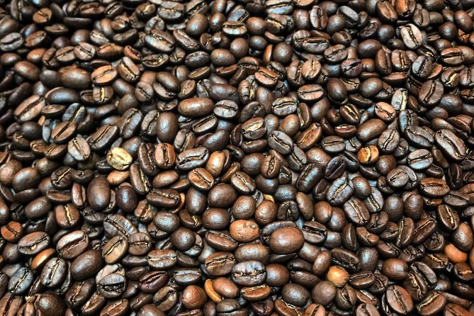 Roasting Experience at 14th Coffee Co - Crafting Coffee Profiles