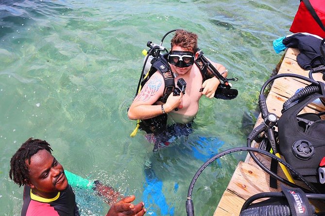 Roatan 1 Tank Shore Dive, Sloth & Monkey Park, City Tour Plus Transportation - Included Features