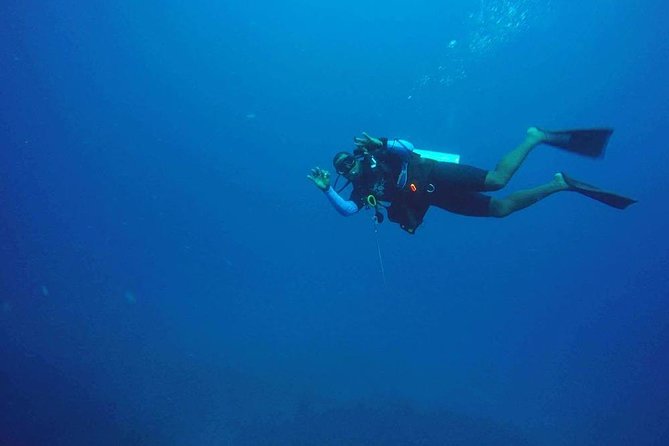 Roatan 1 Tank Shore Dive, Sloth & Monkey Park, City Tour Plus Transportation - Health and Safety Considerations