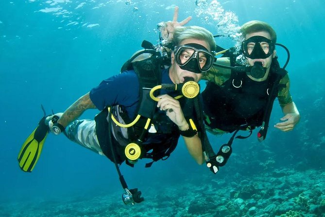 Roatan 1 Tank Shore Dive, Sloth & Monkey Park, City Tour Plus Transportation - Exceptional Guide Reni