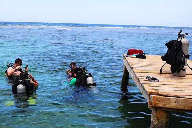 Roatan 1 Tank Shore Dive, Sloth & Monkey Park, City Tour Plus Transportation - Professional Organization and Flexibility