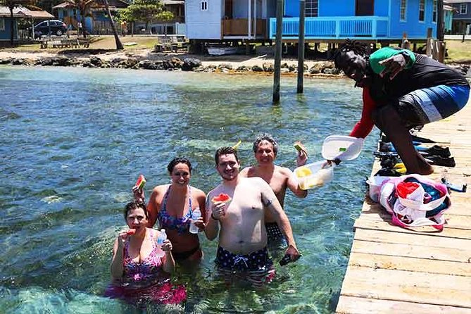 Roatan 1 Tank Shore Dive, Sloth & Monkey Park, City Tour Plus Transportation - Pricing and Lowest Guarantee