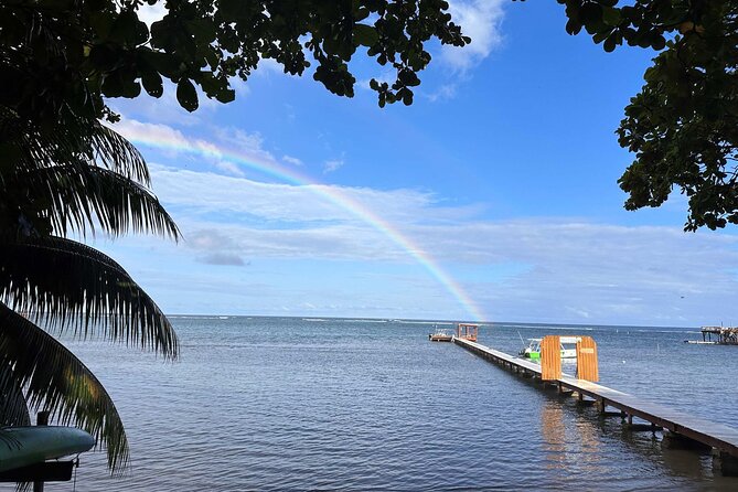 Roatan 2 Dive Scuba Adventure for Certified Divers - Diving Eligibility