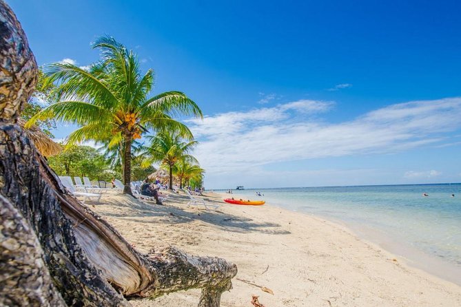 Roatan Beach and Snorkelling Break - Group Size and Accessibility