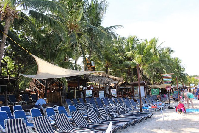 Roatan: Beach Break & Roundtrip Transportation - Included Services and Recommendations