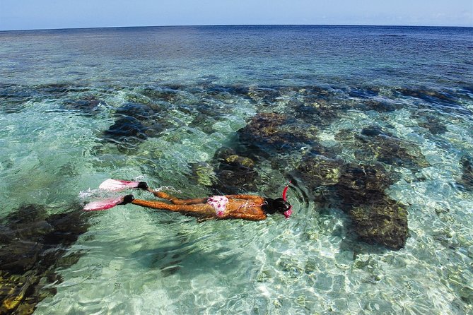 Roatan by Land and Sea - Spotting Wildlife at the Sanctuary Park