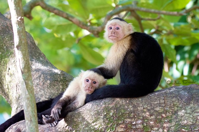Roatan by Land and Sea - Cancellation and Communication Details