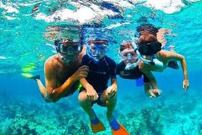 Roatan Chocolate Factory Rum Factory and Beach Day Tour - Customer Testimonials