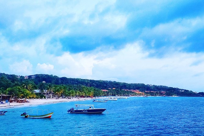 Roatan City Tour and Beach Break at West Bay - Highlights of the Tour
