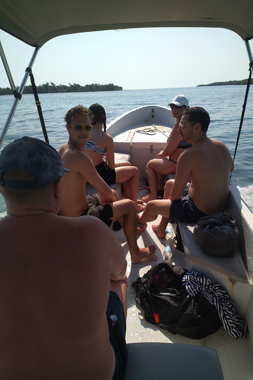Roatan: Culture&City Tour, Atv, Monkey&Sloths Sanctuary,More - Transportation and Pickup