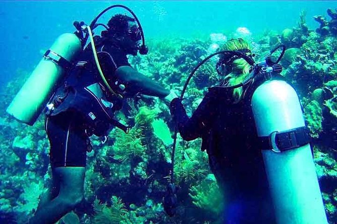 Roatan Discover Scuba Diving Experience - Key Points