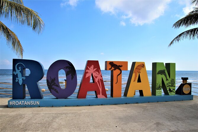Roatan Excursion: City Tour / Plus Sloths and Monkey Hang Out - Key Points