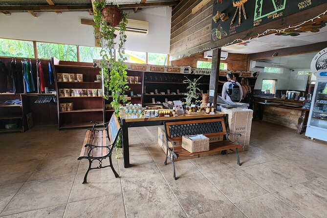Roatan Excursion: City Tour / Plus Sloths and Monkey Hang Out - Exploring Roatans Chocolate Factory