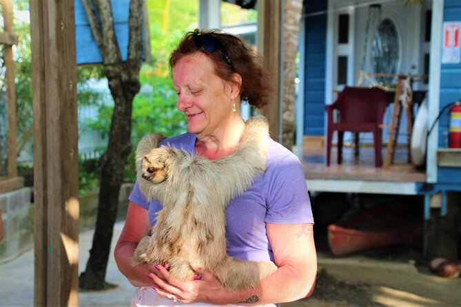 Roatan Excursion: City Tour / Plus Sloths and Monkey Hang Out - Interacting With Sloths and Monkeys