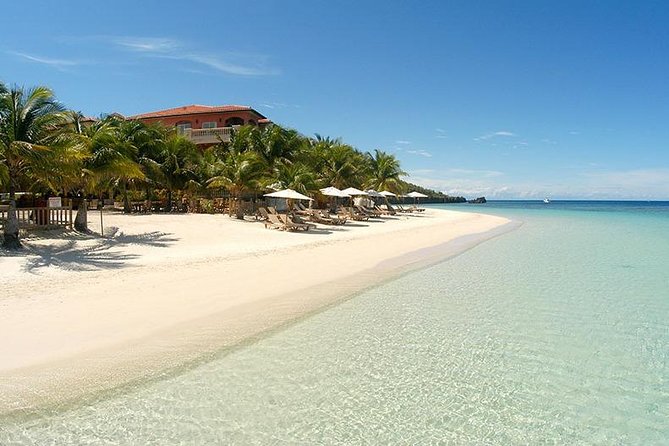 Roatan Excursion: City Tour / Plus Sloths and Monkey Hang Out - Experiencing Roatans Landmarks