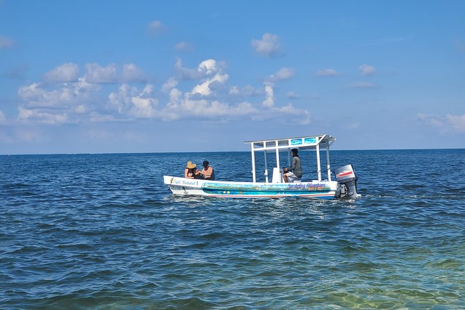 Roatan Excursion: Horseback Ride / Sloths Park / Snorkel With Beach Break - Tour Overview