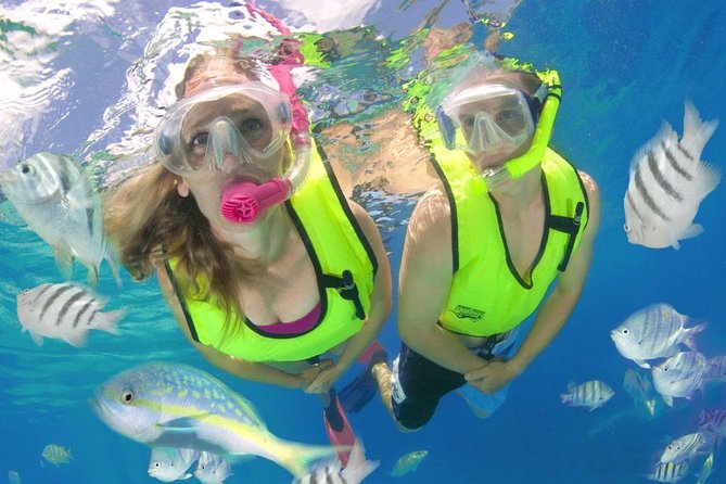 Roatan Excursion Horseback Riding / Zip Line / Sloths Hangout / Snorkel Adven.. - Key Points