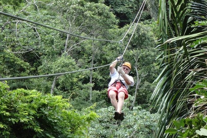 Roatan Excursion: Zip-Line With Sloths Park - Customer Feedback and Local Interactions