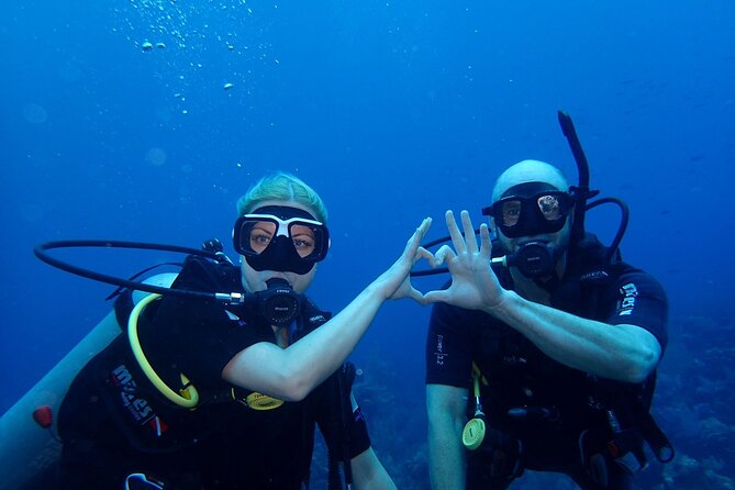 Roatan Full Diving Day Adventure -3 Dives for Certified Divers - Overview and Activity Details