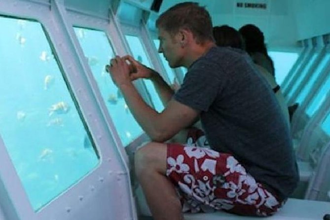 Roatan Glass Bottom Boat Tour and Beach - Accessibility and Participation
