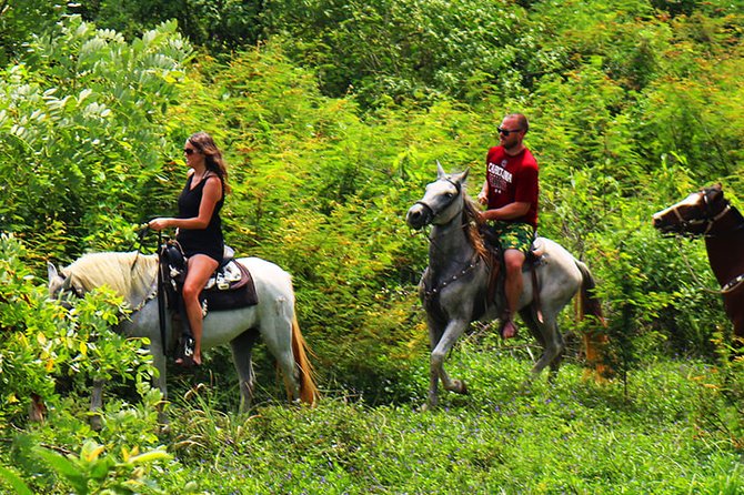 Roatan Half-Day Horseback Ride, Zip Line and Snorkel Excursion - Pickup Locations and Details