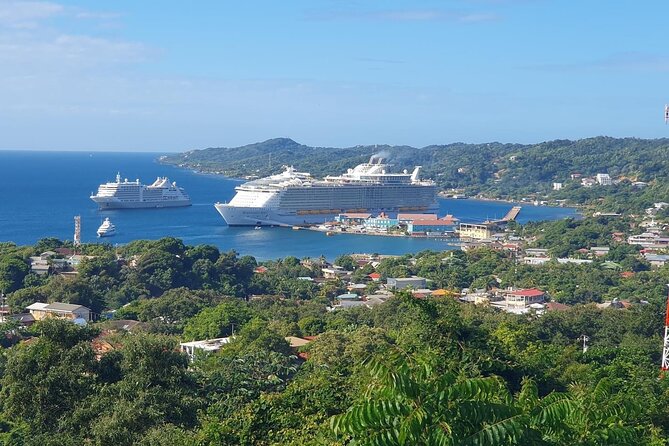 Roatan Highlight City Private Tour & Beach Break - Shopping Opportunities