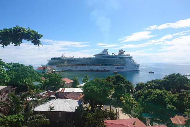 Roatan Island Tour & Daniel Johnsons Monkey and Sloth Hangout Tour - Wildlife Sanctuary