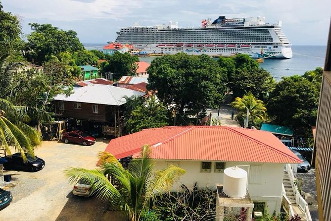 Roatan Jet Ski Shore Excursion With Snorkel and Beach - Key Points