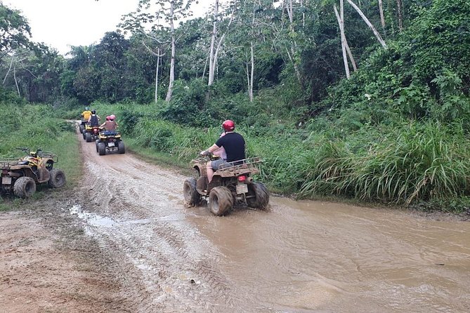 Roatan Jungle Atv Adventure With Sloth,Monkey Private City Tour - Key Points
