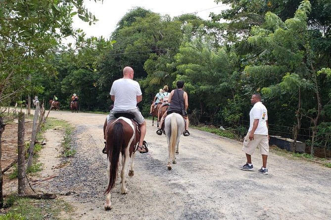 Roatan Jungle Horseback Riding and Beach Daypass - Horseback Riding Experience