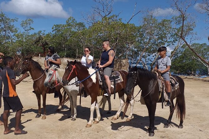 Roatan Jungle Horseback Riding and Beach Daypass - Health and Safety Considerations