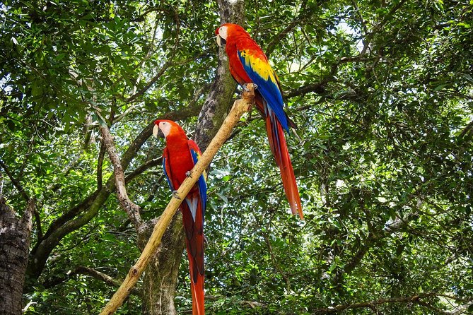 Roatan Manawakie Shore Excursion Eco-Park With Snorkel Adventure - Included Amenities and Experiences