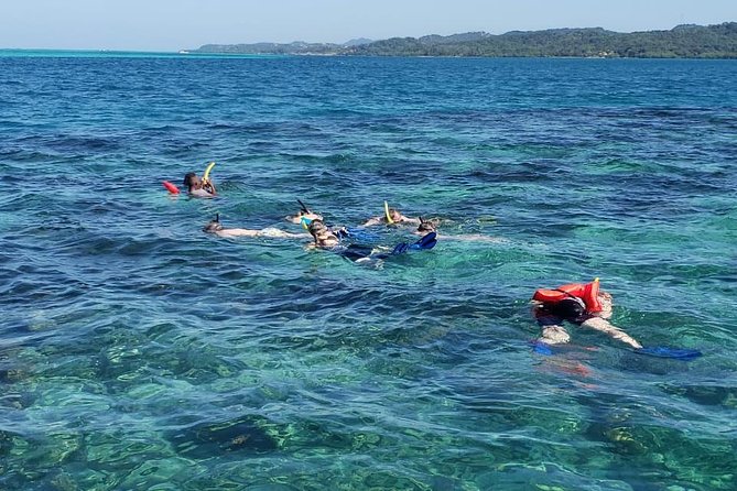 Roatan Manawakie Shore Excursion Eco-Park With Snorkel Adventure - Customer Feedback and Reviews